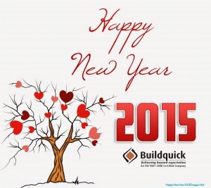 New Year 2015, Buildquick